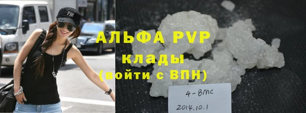 ECSTASY Белокуриха