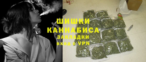 ECSTASY Белокуриха